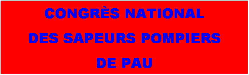 Zone de Texte: CONGRS NATIONAL 
DES SAPEURS POMPIERS 
  DE PAU    

